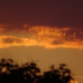 DSC09010