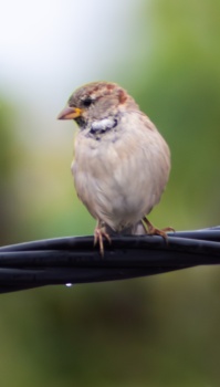 06 septembre 2024-002