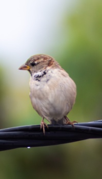 06 septembre 2024-005