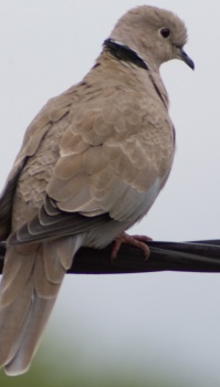 06 septembre 2024-004