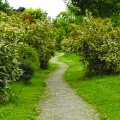 DSC00121