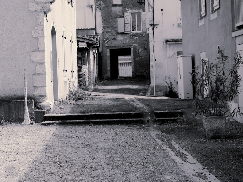 DSC09716-NB.JPG