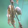  DSC1656